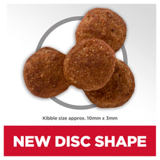 SDD Perfect Weight