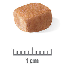 Current price R/Canin Dachshund Puppy