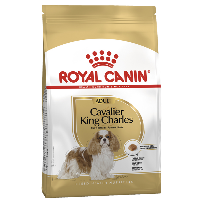 R/Canin Cavalier