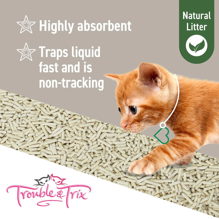 T&T Natural Cat Litter 10L