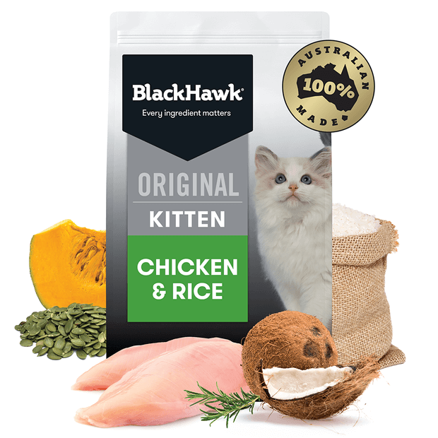 BH Kitten Chicken & Rice